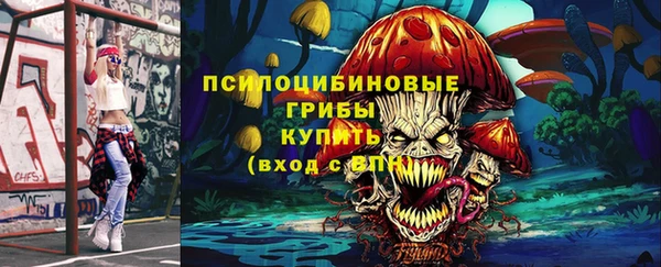 МДПВ Белокуриха