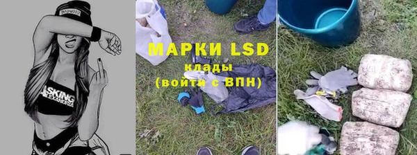 каннабис Беломорск